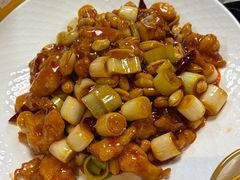 -来相会饺子·新辽菜(甘家口店)