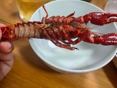 -阿甘龙虾·重庆麻麻鱼(中豪店)