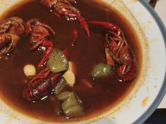 -杨氏青龙虾·羊蝎子(托乐嘉店)