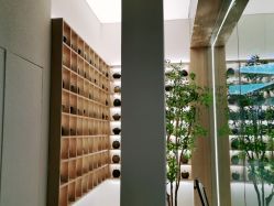 点击看大图 -汉棠汉方·美肤调体