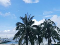 -三亚蜈支洲岛旅游区