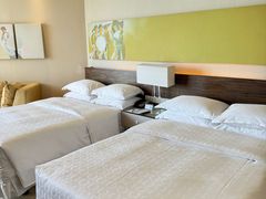 -芽庄喜来登水疗酒店