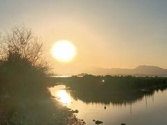 -盐洲岛