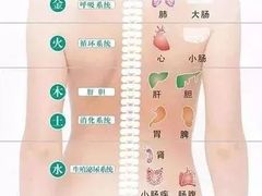 -鹤祥宫·影院足道·SPA连锁(苹果园店)