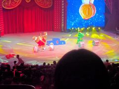 -珠海横琴长隆《卡卡虎奇遇记》