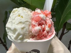 -喜茶(上海打浦桥日月光gelato lab+店)
