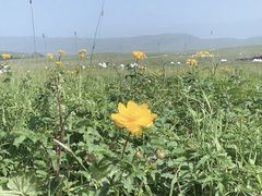 -新疆那拉提国家旅游度假区