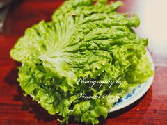 -鑫龙火锅(北园店)