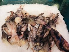 鱿鱼-谊品生鲜折扣店(红城丽景店)