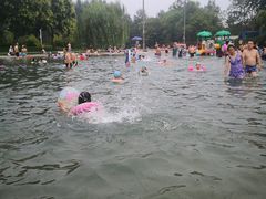 -柳浪游泳场