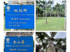 -中国科学院西双版纳热带植物园