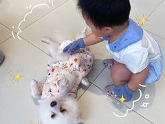 -怪兽屋·羊驼·猫咖·狗咖(俊华广场店)