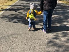 -白塘生态植物园