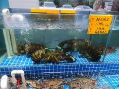 水产区-友鹏海鲜(新宜白大道店)