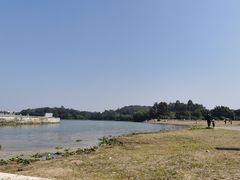 -仙湖旅游度假区