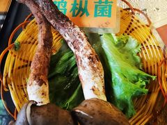 -易门野生菌府·菌海森林(月牙潭公园店)