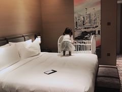 -新加坡瑞士史丹福酒店