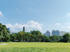 -江心屿景区