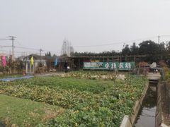 -小鱼草莓采摘园农家乐·小鱼餐厅