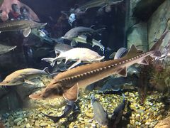 -波塞冬旅游度假区