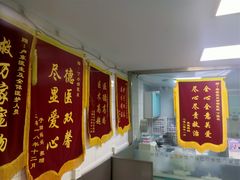 -中农大我爱我爱24h动物医院·中医针灸·猫专科·骨科医疗中心(双井店)