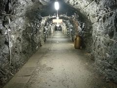景点-遂昌金矿国家矿山公园