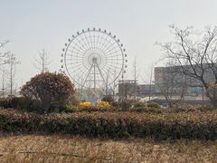 -琴岛之星摩天轮