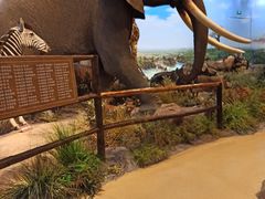 -陕西自然博物馆