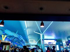 -吉隆坡国际机场