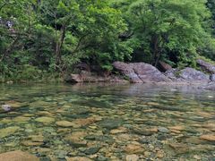 -石台牯牛降景区