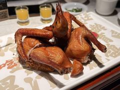 -大鸽饭(动物园店)