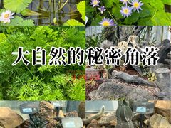 -国家植物园南园