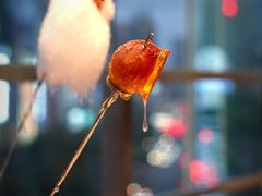 -小大董·烤鸭(观景餐厅·南京西路店)