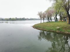 -尚湖风景区