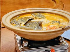 红煨甲鱼汤-潇湘甲鱼村(清河店)