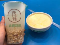 -德禄酸奶(莫家街店)