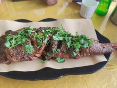 -杨正宗烤全羊(北二环店)