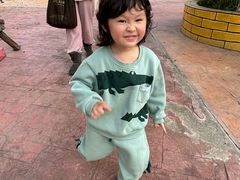 -灵玲国际马戏城
