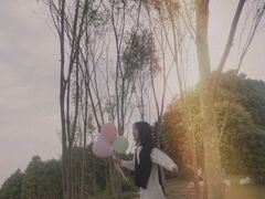 -铁山坪森林公园