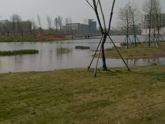 -春花秋色城市公园