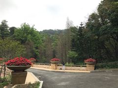 -云溪植物园