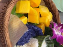 -mango tree芒果树(万象城店)