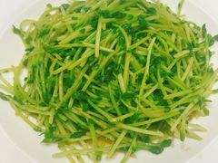 清炒空心菜-大方圆酒楼(西门大街店)