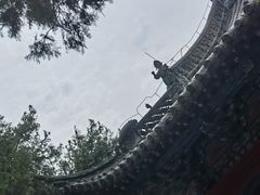-洛阳白马寺