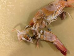 -金生美食(贵州路店)