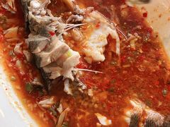 -雀蓝川菜(奥体广场店)