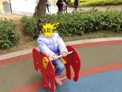 -金鸡山公园