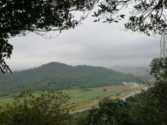 -风云岭森林公园