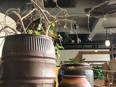 -几荷·恰似故人来(秀水广场店)
