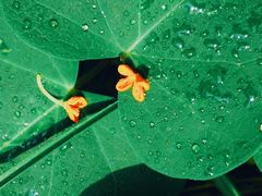 -天津东丽湖风景区